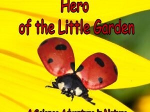 Ladybug Marta Hero of the Little Garden