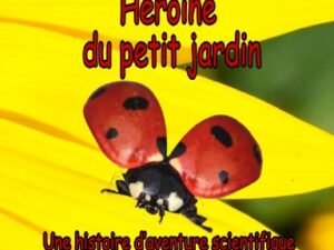 La coccinelle Marta Héroïne du petit jardin