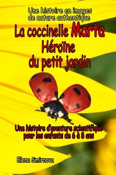 La coccinelle Marta Héroïne du petit jardin